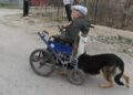 Pas koji je humaniji od ljudi (VIDEO)