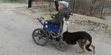 Pas koji je humaniji od ljudi (VIDEO)