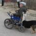 Pas koji je humaniji od ljudi (VIDEO)
