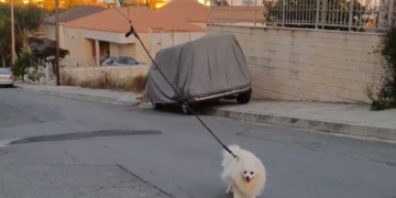 Pogledajte kako dron šeta psa umesto vlasnika (VIDEO)