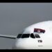 DIRLJIV MOMENAT IZ AVIONA: Air Serbia čestita praznik svim građanima