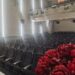 Emocija i ponos: Otvorena potpuno renovirana bioskopska sala u Leskovcu