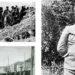 Beograd 1915 – Grad koji nije pao