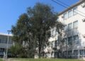 Smederevo ulaže 42 miliona u obnovu škole „Despot Đurađ“