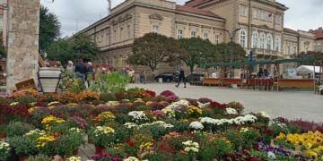 Jesenji sajam cveća, meda i zimnice obojile Smederevo
