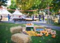 DANI BUNDEVE U SRCU KULE: Tradicija koja raste iz godine u godinu