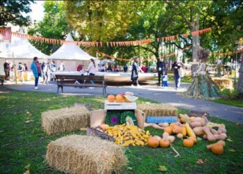 DANI BUNDEVE U SRCU KULE: Tradicija koja raste iz godine u godinu