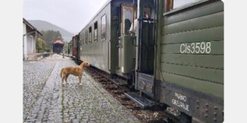 Nostalgija kroz planine: Šarganska osmica, voz koji putuje kroz vreme