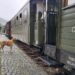 Nostalgija kroz planine: Šarganska osmica, voz koji putuje kroz vreme