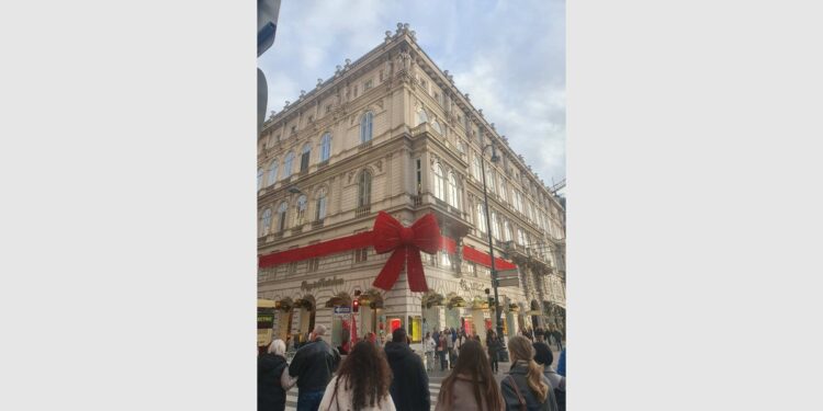 Jezik pod pritiskom: Zašto je u Austriji prednost govoriti engleski, a ne srpski?