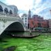 Venecija pod opsadom zelenih aktivista