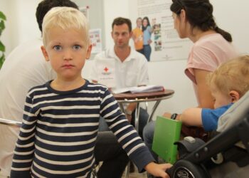 Upozorenje dijaspori: U Austriji decu ispituju bez roditelja, pa otimaju