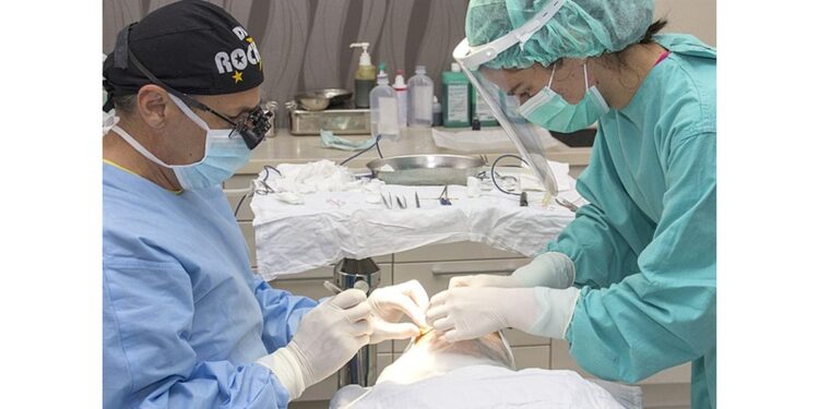 Povećanje muškog polnog organa u Novom Sadu košta do 4.000 evra
