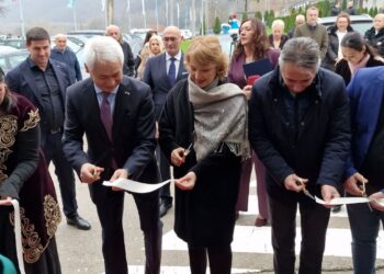 Novi diplomatski centar – Predejane dobija konzulat