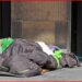 Caritas upozorava: Austrija štedi na najsiromašnijima