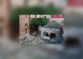 Plodovi vere: Loza koja vekovima daruje potomstvo i blagoslov