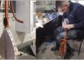 Kako nastaje instrument koji pamti našu istoriju