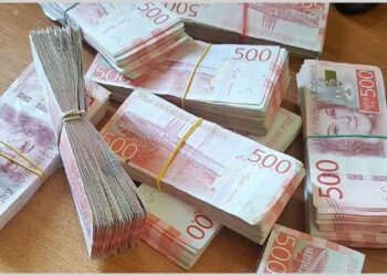 Razotkriven bivši poslanik u Švedskoj: 1,7 miliona prihoda, a prima državnu pomoć!