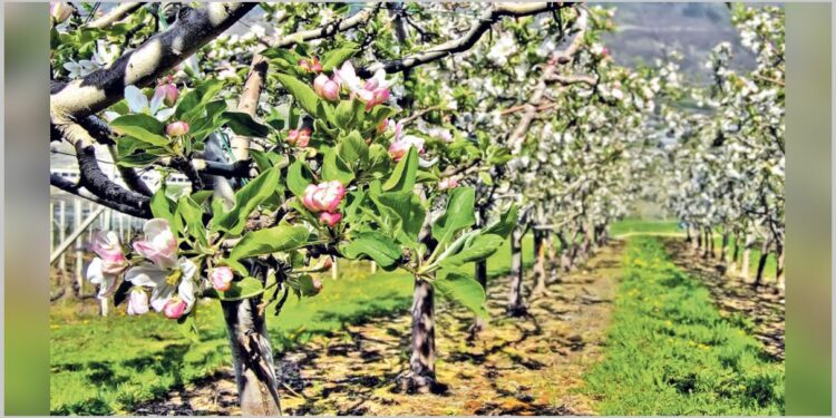Klimatske promene menjaju Srbiju: Država jača podršku poljoprivredi