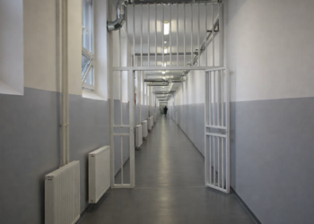 Silovatelji i ubice mesecima na slobodi: U švedskim zatvorima nema mesta