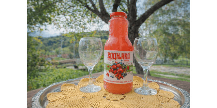Vodnjika: Divlji eliksir zapadne Srbije – napitak tradicije i zdravlja