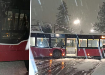 Sneg paralisao Beč: Od aerodroma do autoputa, sve je stalo!