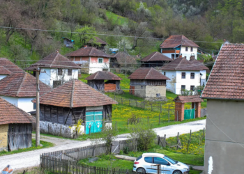 Podrška Vlade Srbije: Kuće na selu, pomoć zajednicama i lečenje retkih bolesti