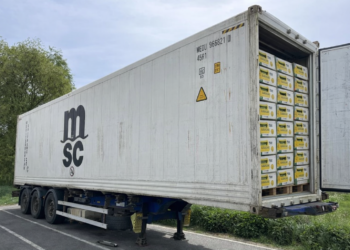 Banana afera: Tone kokaina ušle u Švedsku