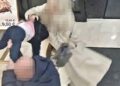 Pokušaj otmice u Italiji: Migrant zgrabio devojčicu iz ruku roditelja