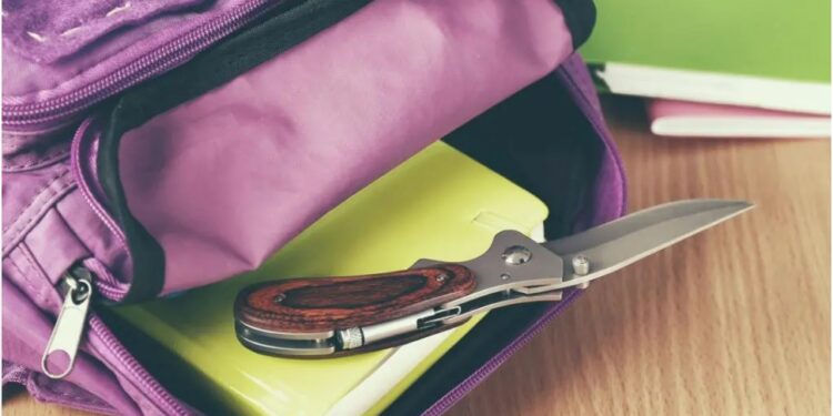 Profesorka izbodena u školi u Francuskoj, učenik (14) uhapšen