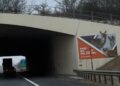 17.000 zečeva godišnje strada na austrijskim putevima