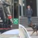 Bomba u Milanu: Evakuisana Palata pravde posle anonimnih poziva