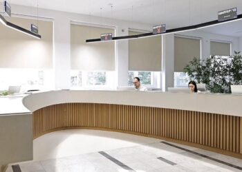 Beogradske opštine po meri građana: Brži servis i digitalna rešenja