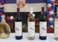 Od tradicije do stipendija: Uspešno predstavljanje Srbije u Angoli