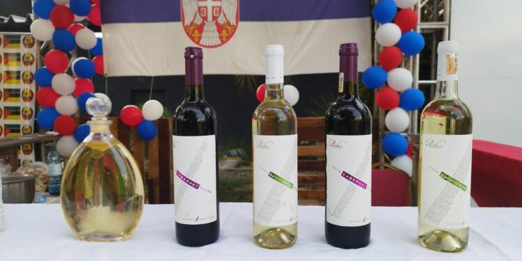 Od tradicije do stipendija: Uspešno predstavljanje Srbije u Angoli