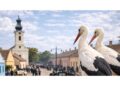 Baranda – Malo „holivudsko“ mesto u Srbiji skriveno u banatskim ravnicama