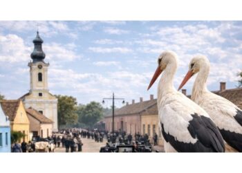 Baranda – Malo „holivudsko“ mesto u Srbiji skriveno u banatskim ravnicama
