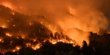 Pakao u Alpima: Požar progutao 35 hektara šume