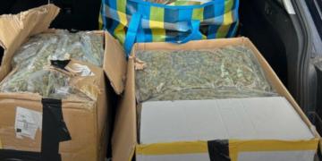 Holandija i dalje glavni izvor droge u Evropi: Zaplenjeno 31 kg marihuane vredno 300.000€