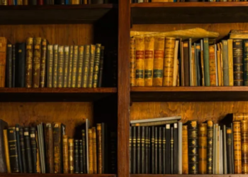 Naučni opis rukopisa Biblioteke Srpske Patrijaršije: Projekat očuvanja narodne duše