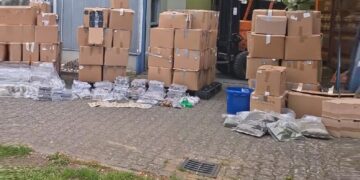 Zaplenjeno 86 hiljada džointa i 120 kg hašiša: Holandija je glavni izvor za Evropu