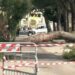 Palo drvo u sred grada u Italiji: Usmrtilo 12-godišnju devojčicu