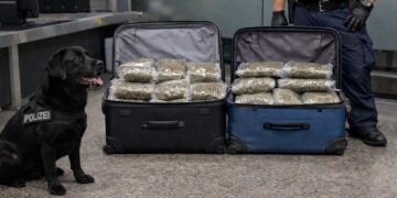 Bečki pas nanjušio 43 kg droge u koferu mladog Bugarina