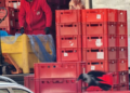 Grozota i smrad: U srcu Beča meso ostavljeno na ulici postalo gozba za ptice!